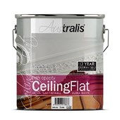 Ceiling